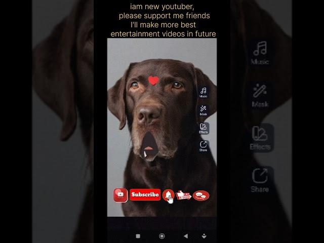 This Dog Too Much Funny  | Part  #shortfeed #shortsbeta #shortsfunny #comedy #dogs (5)
