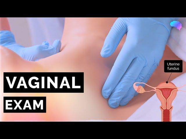 Vaginal Examination (PV) | Bimanual | OSCE Guide | UKMLA | CPSA