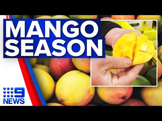 Mango season coming in early | 9 News Australia