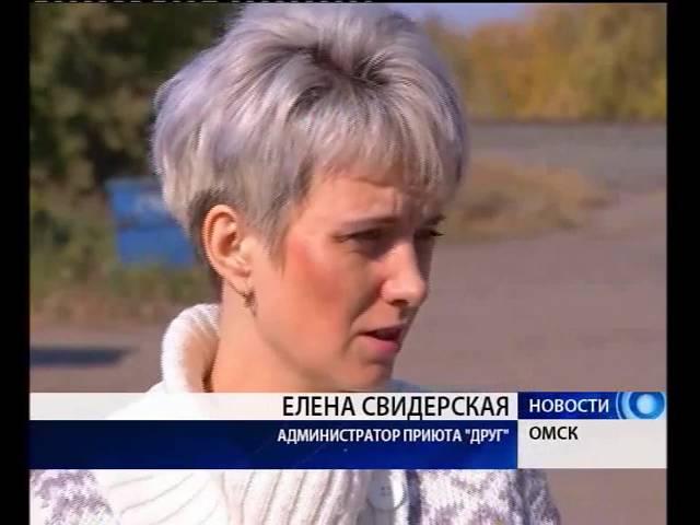 День защиты животных в приюте "Друг"