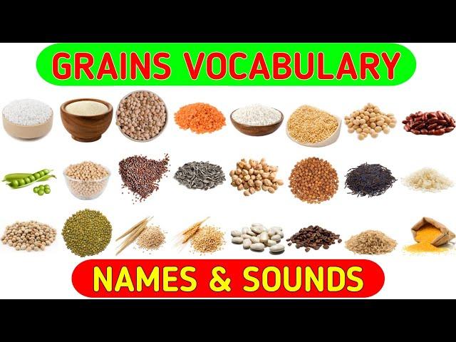 Grains Vocabulary | Learn Grains, Seeds & Cereals Name in English With Pictures