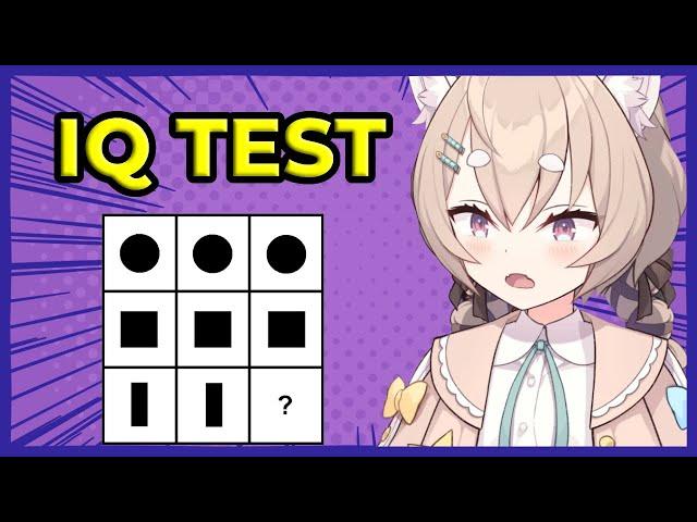 Panko takes an IQ Test