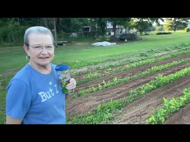 Porch Talk & Garden Tour with Mama Sue | Updates from Sue Garrett while sitting on the porch