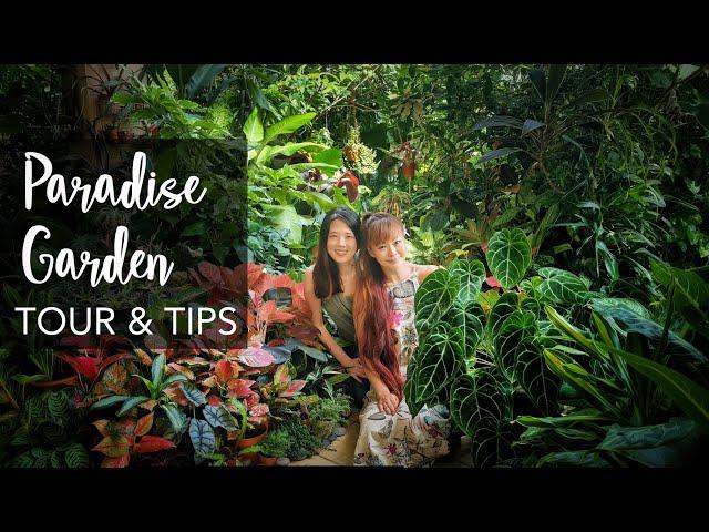 SUPER LUSH Tropical Garden TOUR & 12 Plant Care Tips with Junie Lee (1000+ plants)