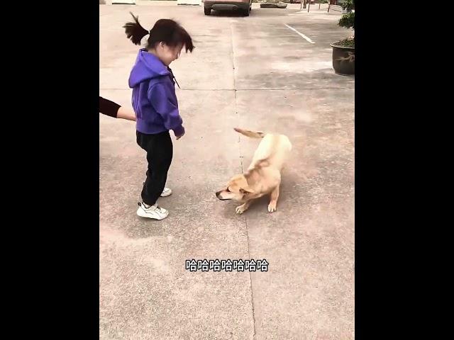 走丟很久的狗狗失而復得，就像家人重逢一樣開心！#狗狗#寵物#熱門