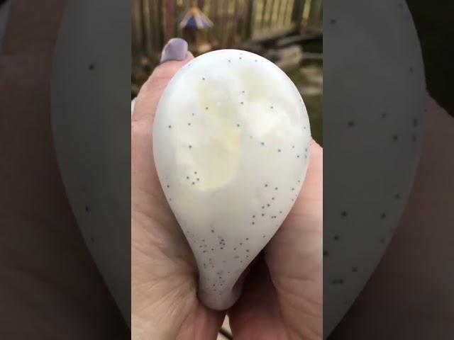 Snowball The Crunchy Stress Ball! ️ #shorts #freeproduct #asmr #satisfyingvideo #stressrelief