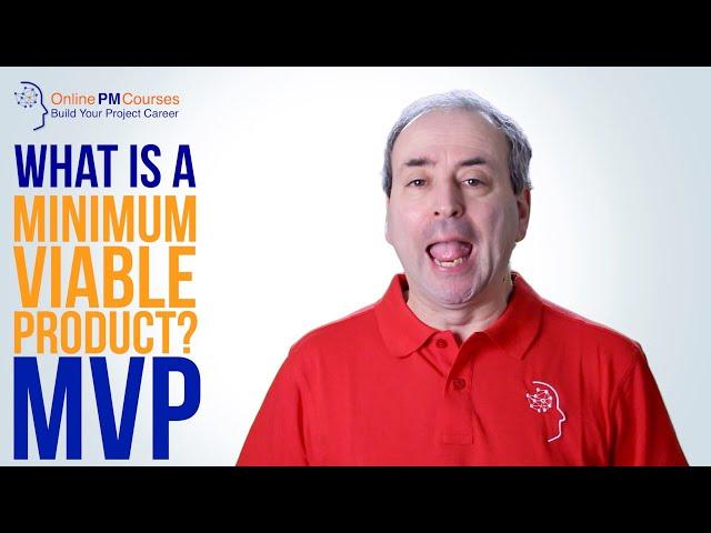 What is a Minimum Viable Product - MVP?