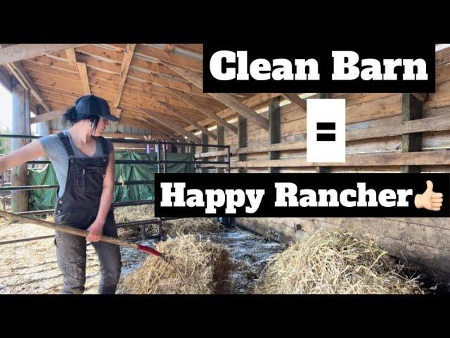 I'm Out of JAIL & Preparing for New Calves | Ranching In Nova Scotia, Canada