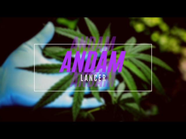 Lancer - ANDAM.