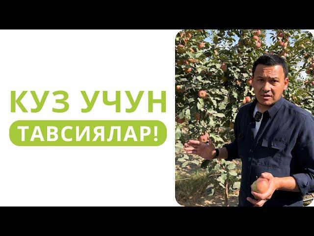 МЕВАЛИ БОҒЛАРДА КУЗДА ҚИЛИНАДИГАН ИШЛАР! ШЕРЗОД ХАЙДАРОВ.