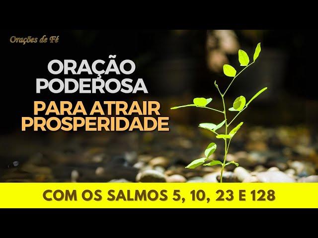 Oração poderosa para atrair prosperidade – Com os salmos 5, 10, 23 e 128