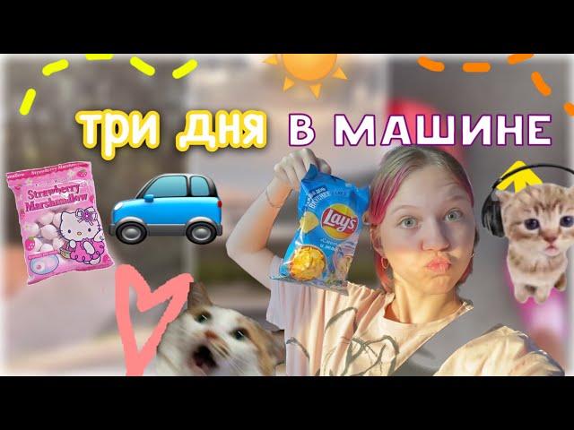 еду 3 дня на машине  на мореее / vlog / влог / ствикса / stviksa