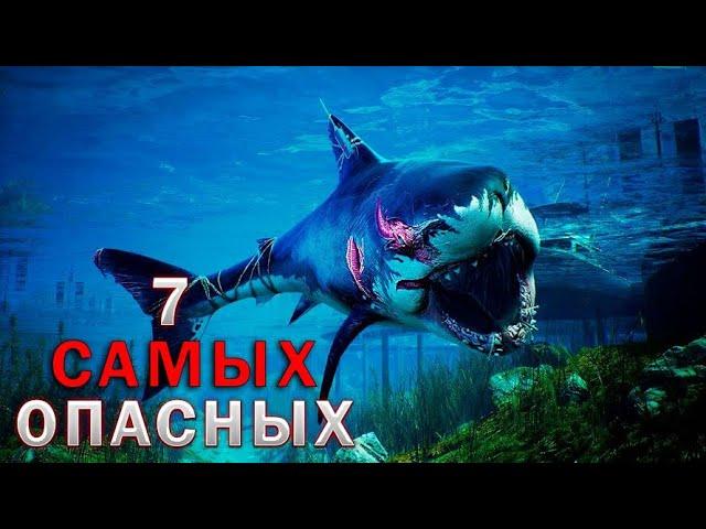 Топ 7 САМЫХ опасных акул