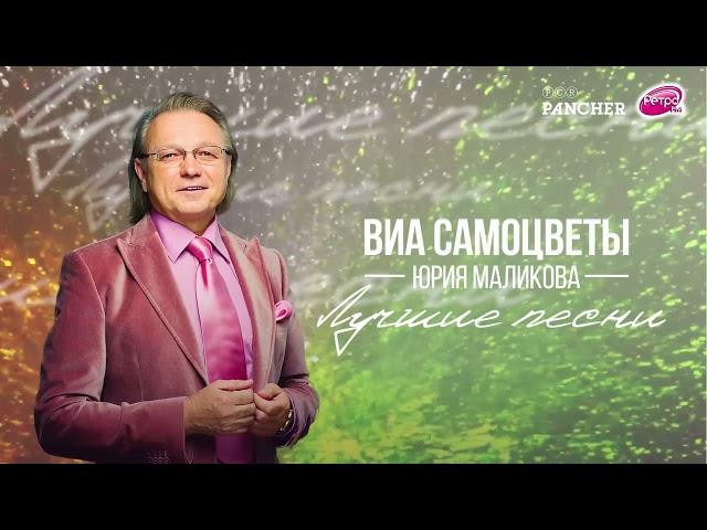 ВИА "Самоцветы" - Всё, что в жизни есть у меня (Альбом "Лучшие песни")