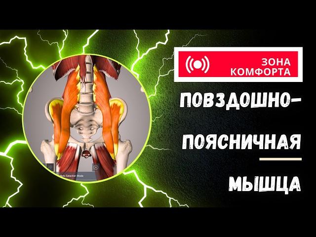 Псоас синдром. Гиперлордоз. Сколиоз. Хронические напряжения в теле.