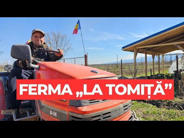 Gospodarul Tomiță cultivă soiuri de legume românești