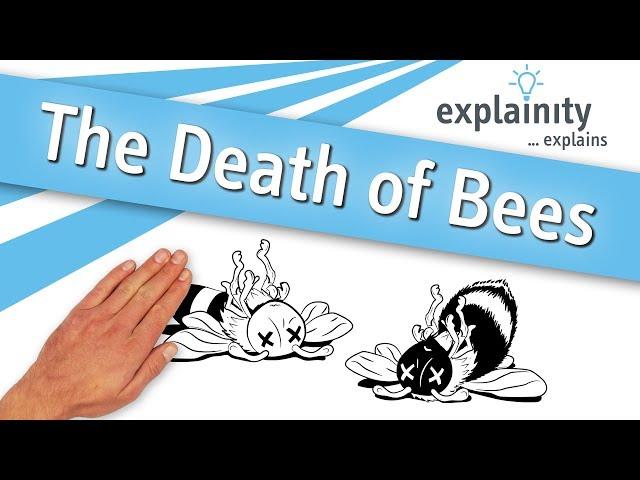 "The Death of Bees" explained (explainity® explainer video)