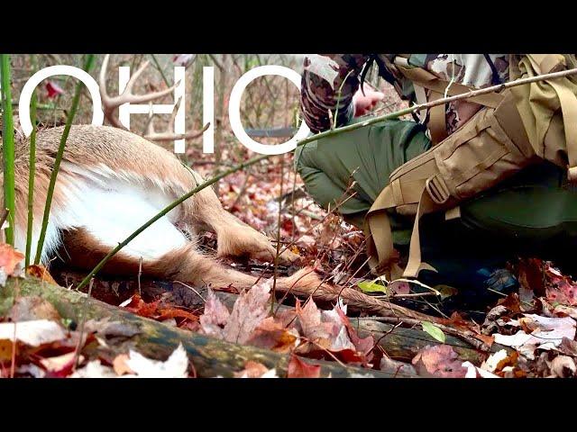 OHIO RUT HUNT|Traditional Bowhunting|The Stickboys