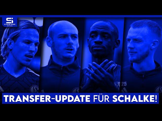 Transfer-Update Schalke: So steht es um Antwi-Adjei, Zalazar-Ausleihe, Mohr, weiterer Zugang & mehr!