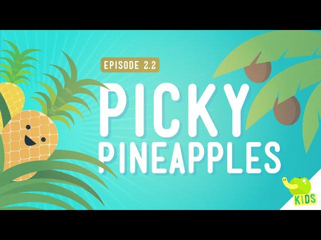 How to Get Resources - Picky Pineapples: Crash Course Kids #2.2