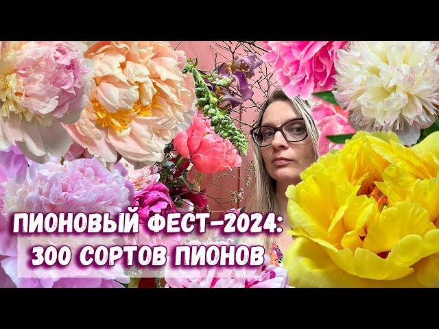 300 сортов самых красивых пионов на выставке Пионовый фест-2024