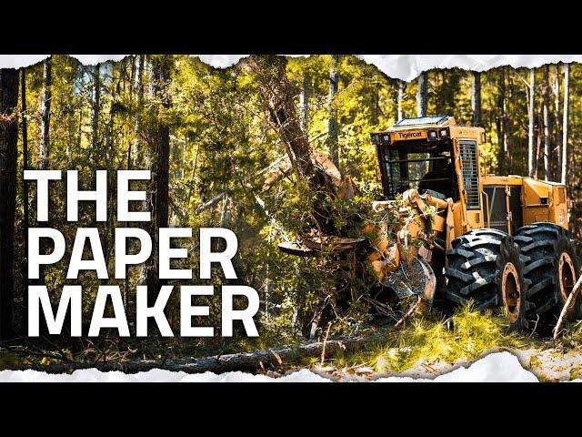 Where Does Paper Come From? (Results May Be Shocking)