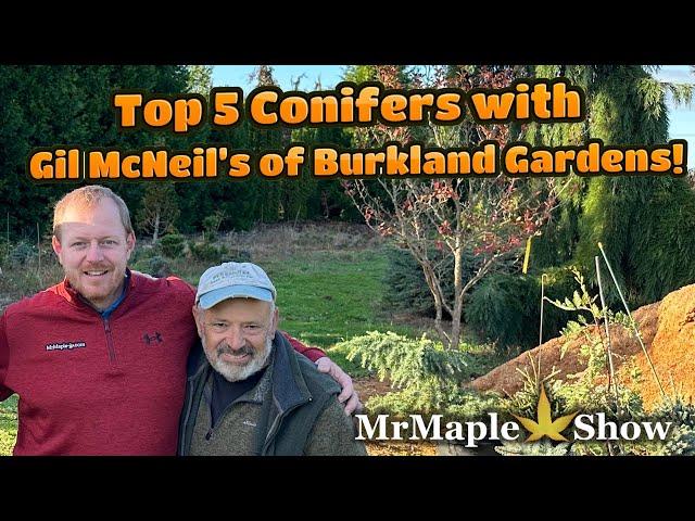 Top 5 Conifers with Gil McNeil’s of Burkland Gardens!