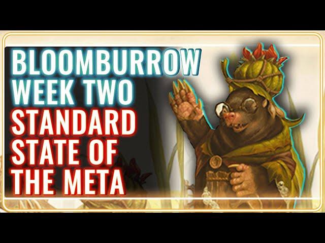 MTG Standard Decks Tier List for Bloomburrow Week 2 | MTG Rebellion