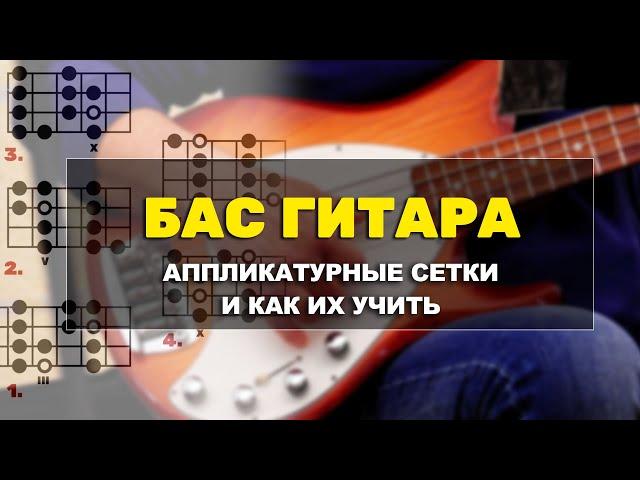 Бас гитара. Аппликатурные сетки и как их учить