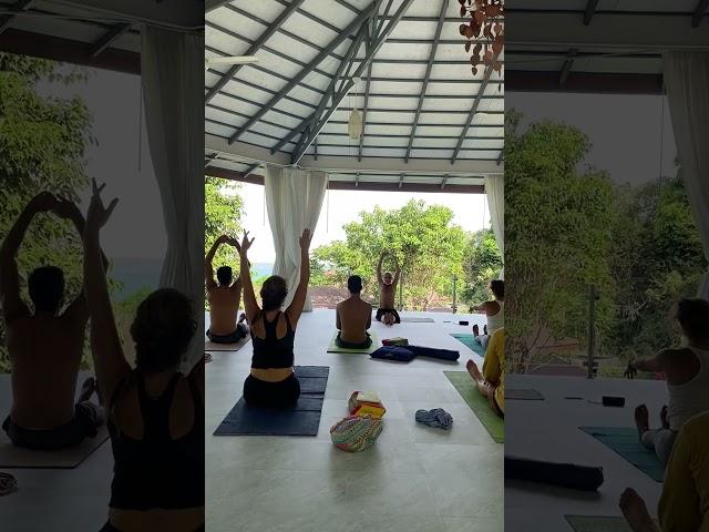 Short campus of Hatha yoga class led by our senior teacher #yoga #hathayoga #ytshorts