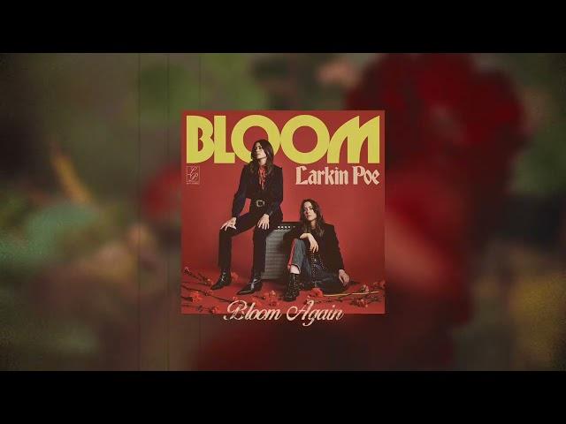 Larkin Poe - "Bloom Again" (Official Audio)