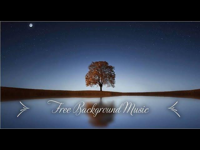 1 Hour Upbeat Background Music Best MBB Music Collection Free Download, No Copyright