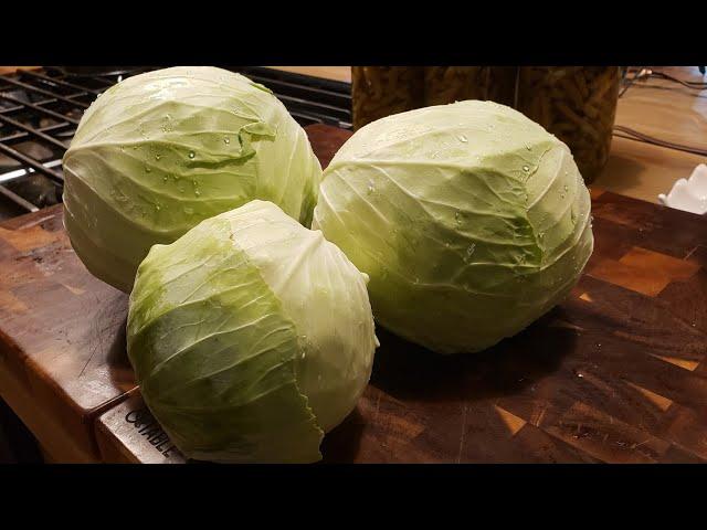 Quick and easy fermented kraut