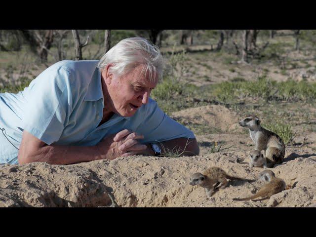 Wanderlust travel magazine - Sir David Attenborough (1)