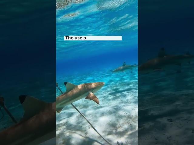Shark-Sourced Vaccine Ingredient May Be on Its Way Out 
