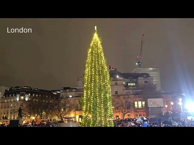 Virtual Travel: Best Christmas Trees 2024-25  Around the World