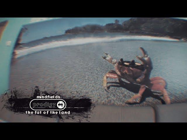 The Prodigy - Mindfields (Live in Russia)