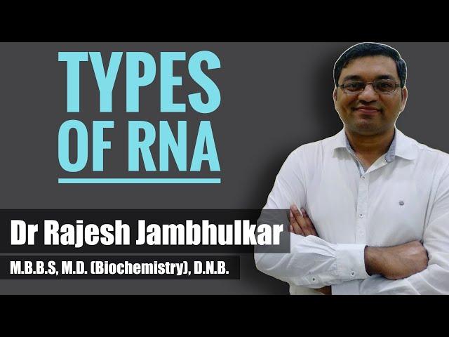 Types of RNAs