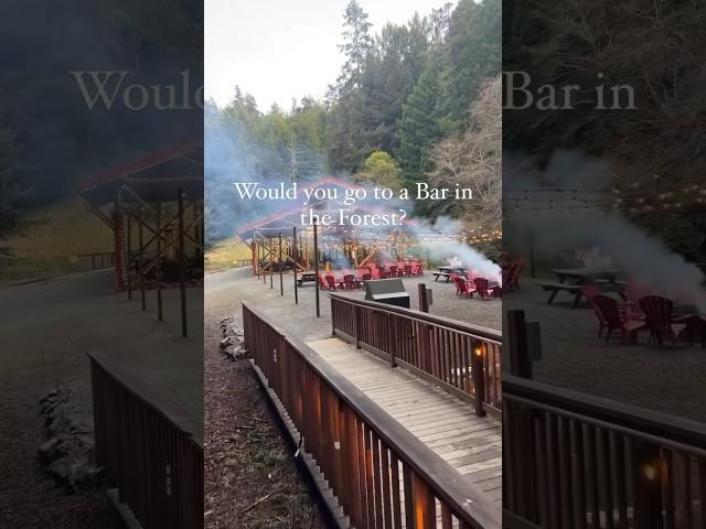 Travel by Train to a Bar in the Redwoods (via travelingwhilelatina on IG) #Shorts