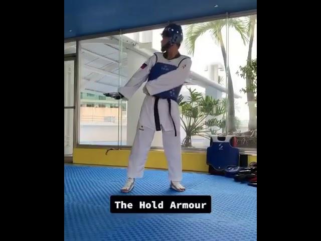 Taekwondo Different Fighting Stances "Funny" 