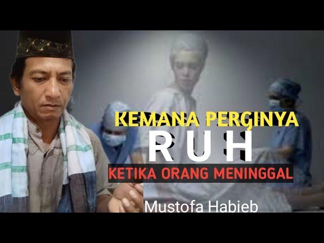 Kemana Ruh pergi setelah meninggalkan jasad#mustofahabieb