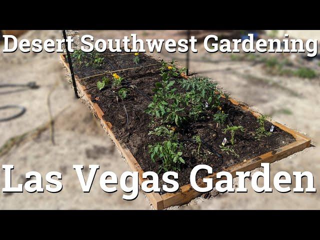 Desert Southwest Garden - In Ground Gardening in Las Vegas