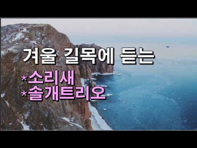 겨울의 길목에서 - 소리새 /  솔개트리오 [ 그대 그리고 나 / 아직도 못다한 사랑 / 여인 / 통나무집 / 계절의 길목에서 ...]