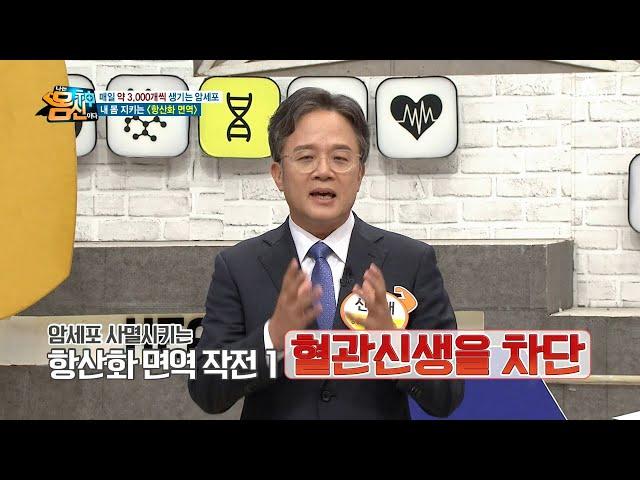 만들어진 혈관을 고립시켜 영양분을 차단하라! ▶항산화 면역 첫 번째 작전◀  | 나는 몸신이다 347 회