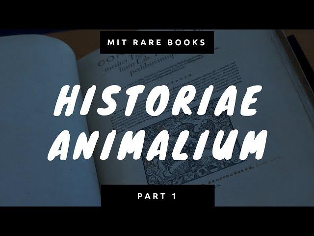 MIT Rare Books | History of Animals pt 1