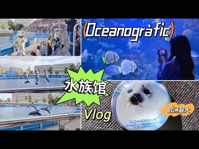 vlog｜西班牙瓦伦西亚Oceanogràfic水族馆欧洲最大水族馆与海洋生物奇观 | 海豚表演、鲨鱼隧道、白鲸、热带鱼与更多精彩｜Valencia 闺蜜游记｜小米丘XiaoMiChu