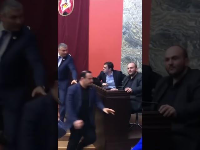 Georgian MPs scuffle in parliament over proposed law on 'foreign agents'