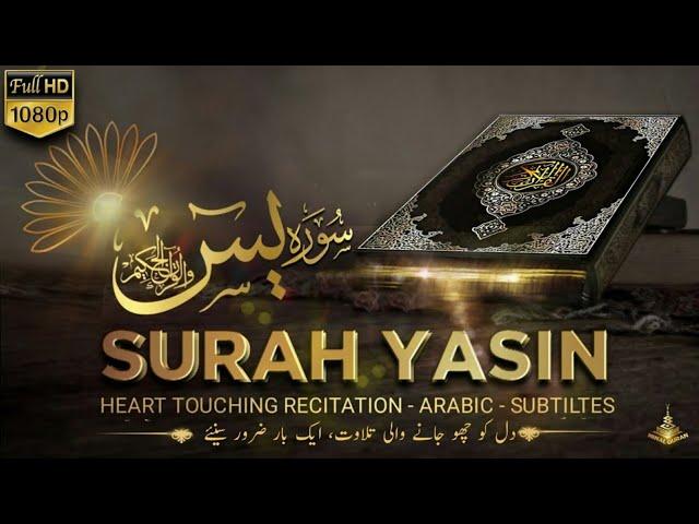 Surah Yaseen Full Recitation|Powerful Quranic Verses for Spiritual Upliftment| @AyeshuFairy-xr1nx