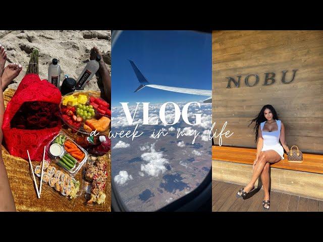 WEEKLY VLOG: Life as a single mom | Work | Travel | LA trip | Movie Premiere | Malibu| Dating + more