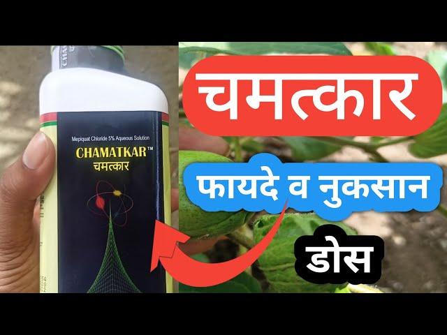 Chamatkar Plant Growth Regulator || Gharda Chamatkar PGR || Dose || Benefits